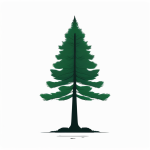 ji jian dong man feng bai se bei jing shang yi ke song shu