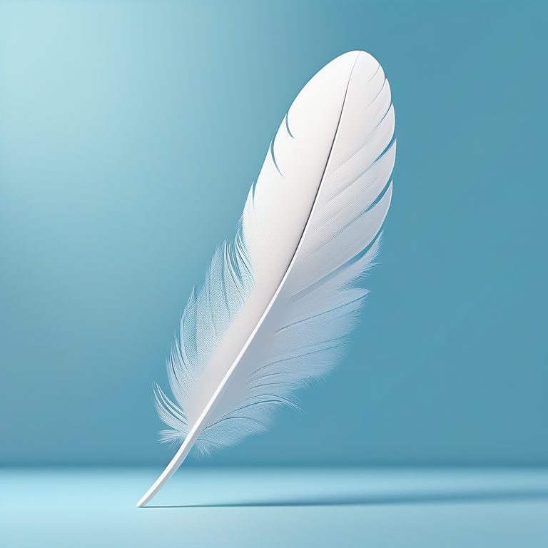 极简立体感-白色羽毛
