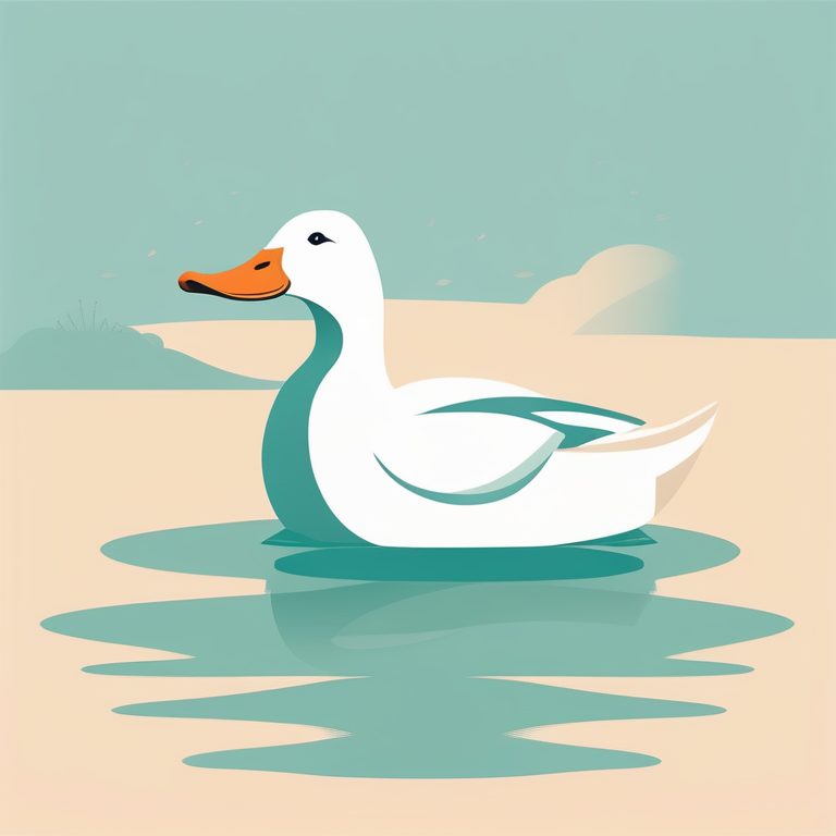 极简梦幻水波中的单只鸭子