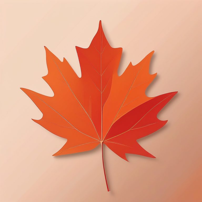 极简唯美风格一枫叶插画